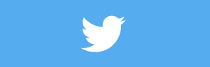 Twitter Kit logo