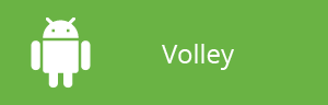Volley logo